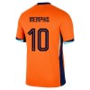 Original Fußballtrikot Niederlande Memphis 10 Heimtrikot EURO 2024 Für Herren